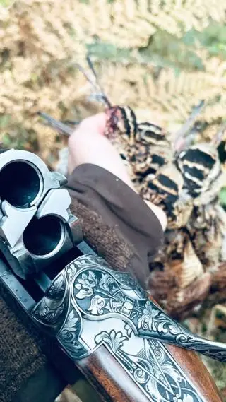 There are few days out in the shooting season that really mean more to us than these mixed bag days. 

Plenty of birds, plenty of shots, many many miles and a wild feast to celebrate.

Whats your favourite?

#gameshoot #mixedgame #specieshunt #drivenshoot #drivenshooting #smallbore #bestguns #kemenguns #kementitanium #shooting #gameshooting #kemen #shootday #shootingsports #woodcockhunting #woodcockhunter #snipeshoot #pheasanthunt #fieldtofork