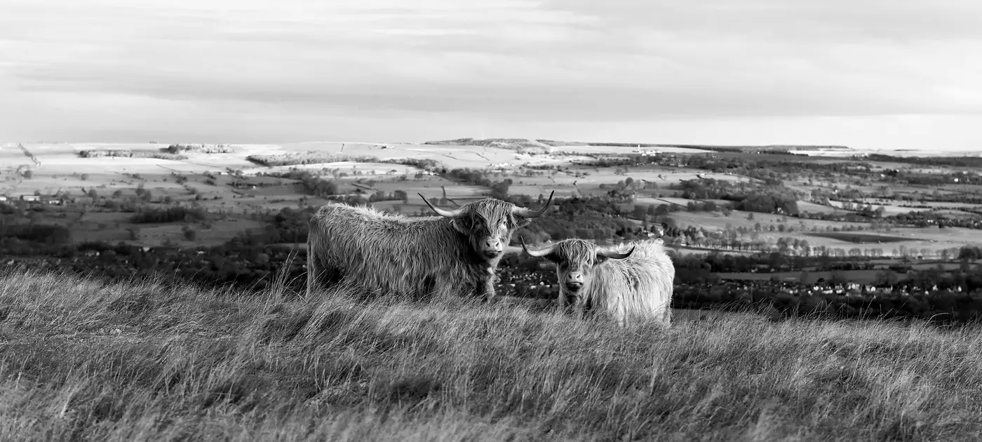 jonathan mcgee photography leeds agency
