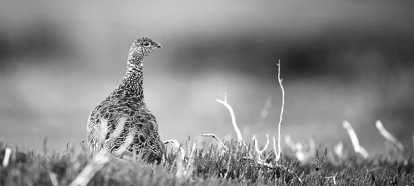 jonathan mcgee photography leeds agency