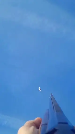 At this time of year, especially if we get a hard frost or snow, we absolutely love to do our bit for the farmers and help with their crop protection. 

Shooting over new drillings or older crops of rape can provide some amazing shooting whilst harvesting birds for the table and getting them away from the field.

Check out this clip filmed on @aimcam_official Get yours now from aimcam.com

#lineofsight #aimcam #aimcampro3k #safetyglasses #hunting #shooting #gameshoot #shootingsports #fieldtofork #pestcontrol #farming #shotgun #shoot #filming #filmmaker #contentcreation #cropprotection